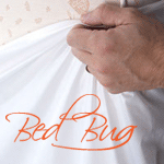 Bed Bug Mattress Protector