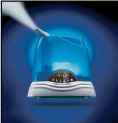 Ultrasonic Cool Mist Humidifier
