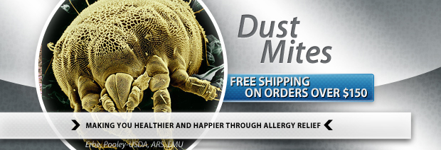 Dust Mite Allergies