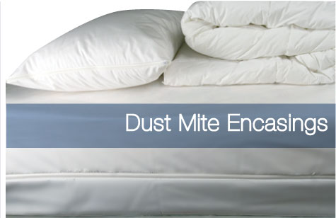 Dust Mite Encasings