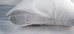 Dust Mite Cover