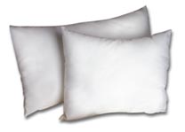 Hypoallergenic Pillows