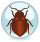 Bed Bug Proof