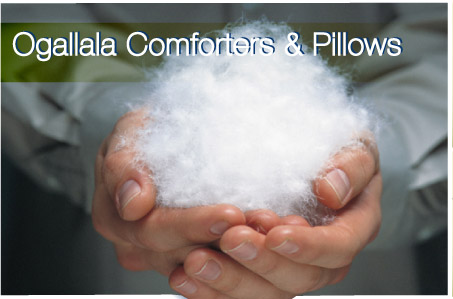 Ogallala Comforters & pillows