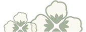 Allergy Armor Organic