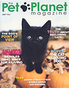 Pet Planet