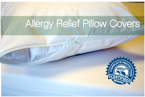 Allergy Pillow Covers