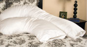 Allergy Armor Body Pillows