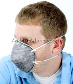 3M 8247 Particulate Mask