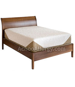 Serta iComfort Savant Mattresses