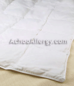 Monarch Hypodown Comforter