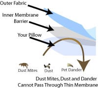 CleanAir Cover Layer Diagram