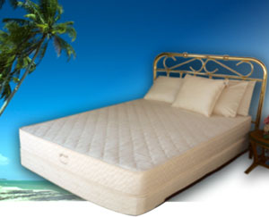 Organic Mattress