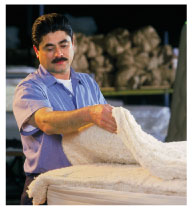 Royal Pedic - Premium Natural Cotton Padding