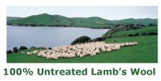Untreated Lamb's Wool