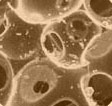 TEMPUR Material Cells