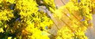 Seasonal Allergy