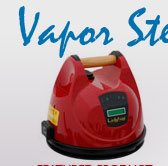Ladybug Steam Cleaners