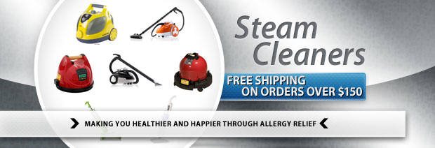 Steam Cleaners
