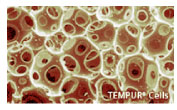 TEMPUR Cells