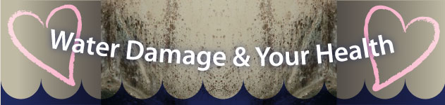 Excess Moisture and Your Health