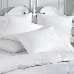 Compare Allergy Pillows