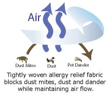 Allergy Bedding FAQs - How Does Allergy Bedding Help?