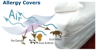 Dust Mite Allergy Covers