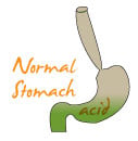 stomach acid