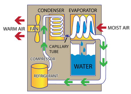 How Does a Dehumidifier Work?