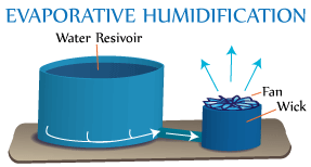 Humidifier FAQs - How Humidifiers Work