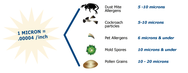 Air Purifiers FAQ - What is a micron?