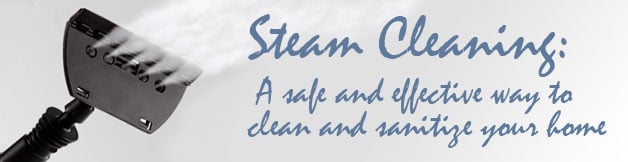 New to Steam Cleaners - Safe Effective Cleaning