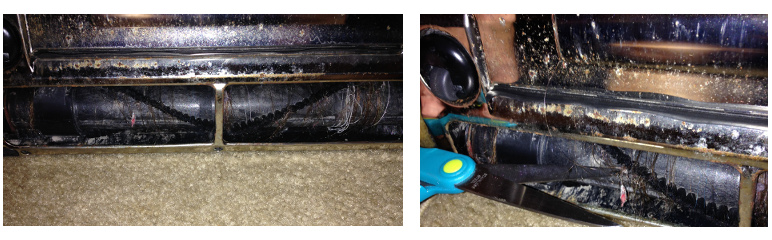 Don't Forget the Brushroll