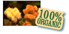 100% Organic Cotton from Peru