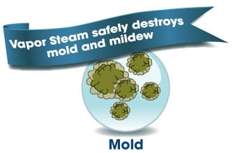 do steam cleaners kill mold?