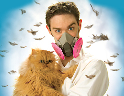 Cleaning and Hidden Allergens in Your Home
