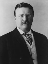 Teddy Roosevelt, Asthma Sufferer