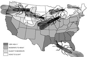 Termite Infestation map