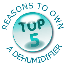Top 5 Reasons to Own a Dehumidifier