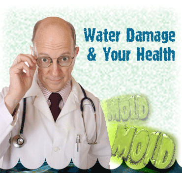 Excess Moisture and Mold - Common Health Concern