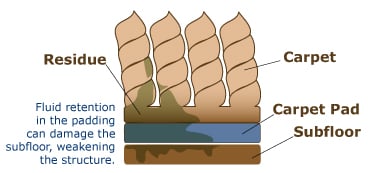 Wet Carpet Cleaning Diagram