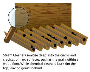 Steam Cleaners Clean Deep, Penetrating the Pores of Even Hard Surfaces