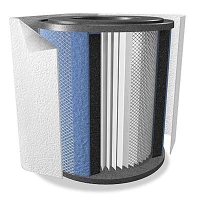 Austin Air Purifier HealthMate HEPA Replacement Filter FR400 Black or White 