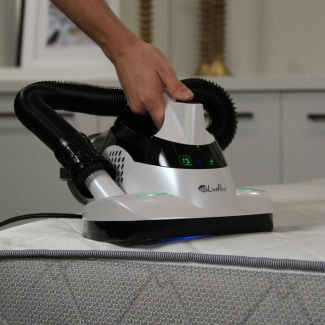 Allergy vacuum deals cleaners dust mites