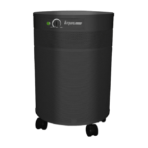 AirPura P600 HEPA Air Purifiers