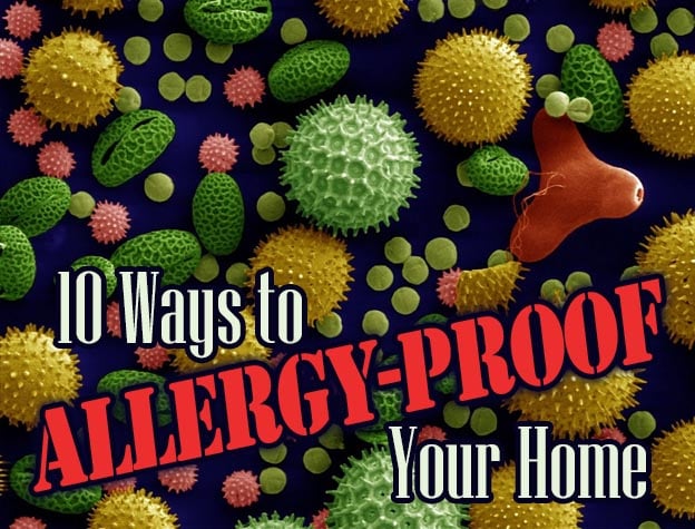 Allergy-Proof-Header