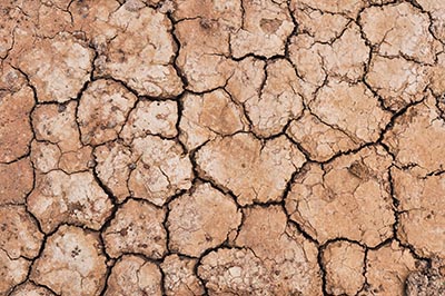 Cracked ground,Dry land. Cracked ground background,Dry cracked ground filling the frame as background