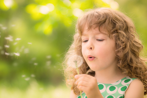 child blowing dandelion spring