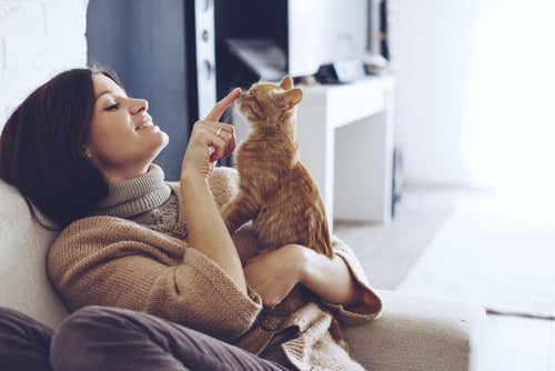 woman wearing sweater resting with cat